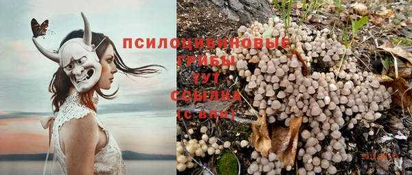 герыч Алзамай
