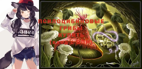 крисы Алексин