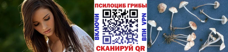 мега как войти  где продают   Тавда  Галлюциногенные грибы мухоморы 